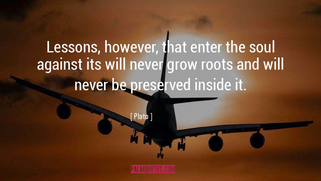 Never Grow quotes by Plato