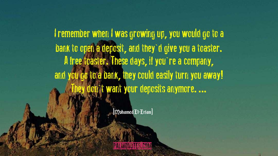 Never Growing Up quotes by Mohamed El-Erian