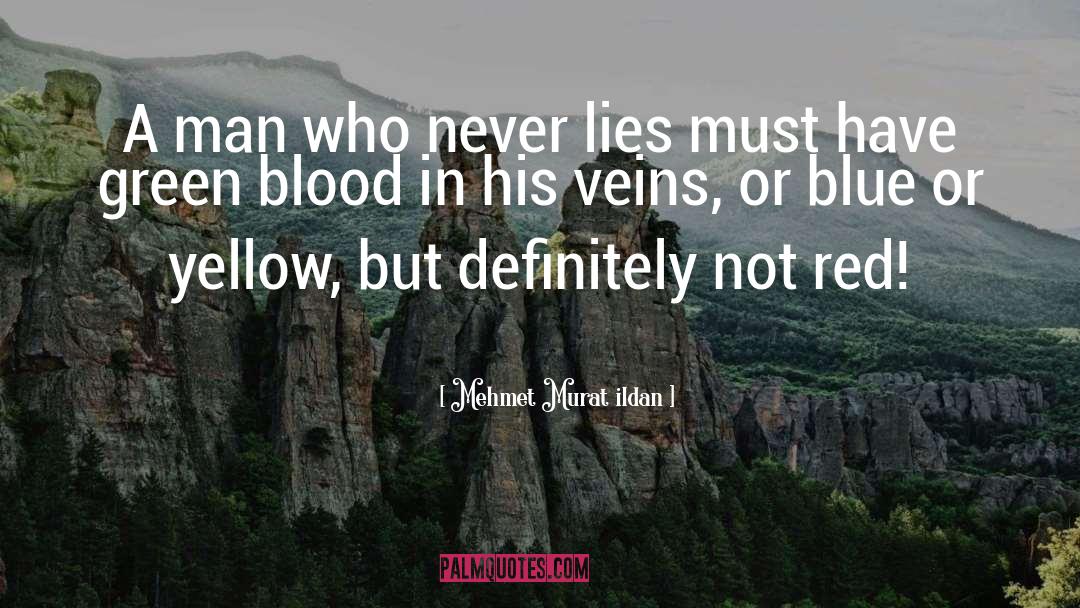 Never Lie quotes by Mehmet Murat Ildan