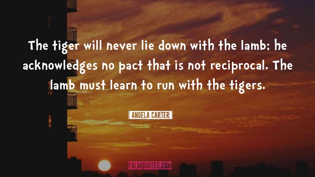 Never Lie quotes by Angela Carter