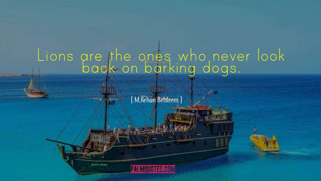 Never Look Back quotes by M.Rehan Behleem