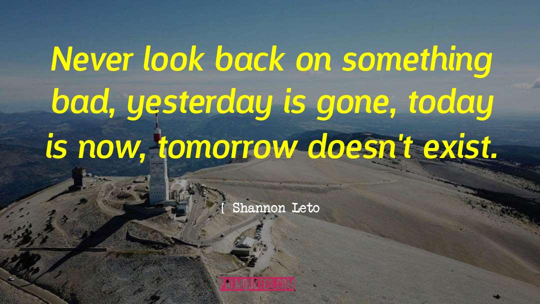 Never Look Back quotes by Shannon Leto