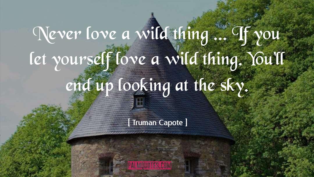Never Love quotes by Truman Capote