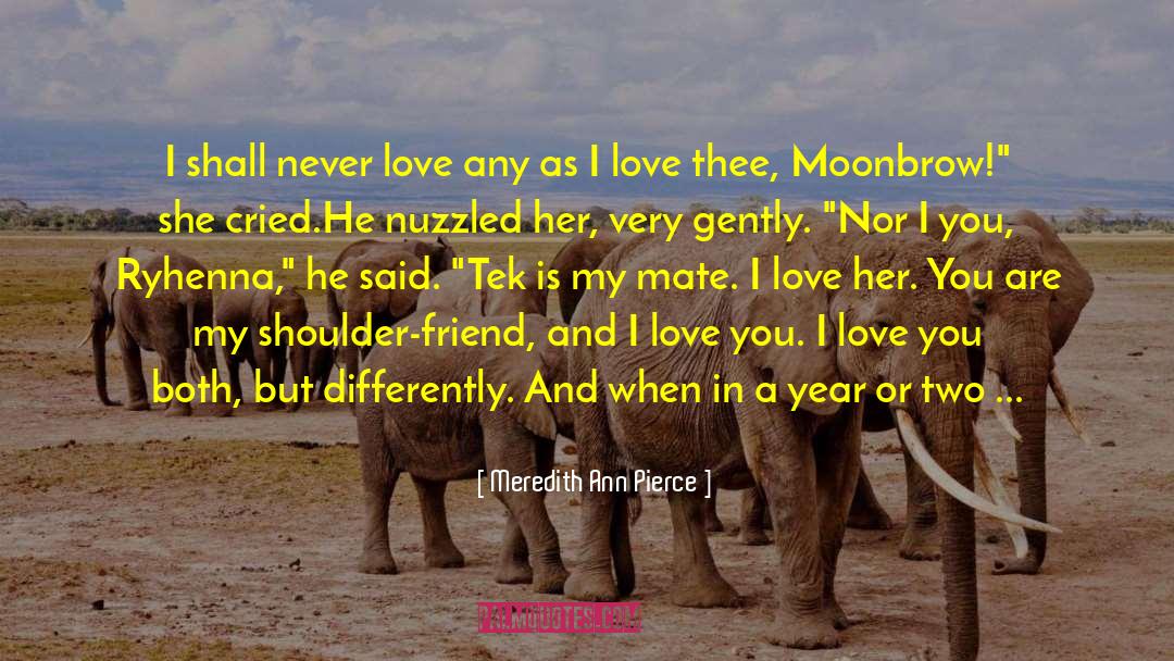 Never Love quotes by Meredith Ann Pierce