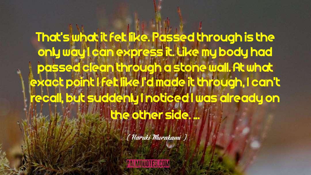 Never Push Me quotes by Haruki Murakami