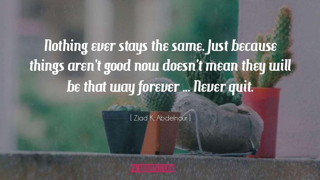 Never Quit quotes by Ziad K. Abdelnour