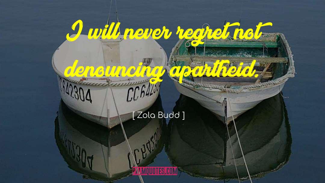 Never Regret quotes by Zola Budd