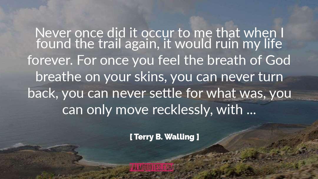 Never Settle quotes by Terry B. Walling