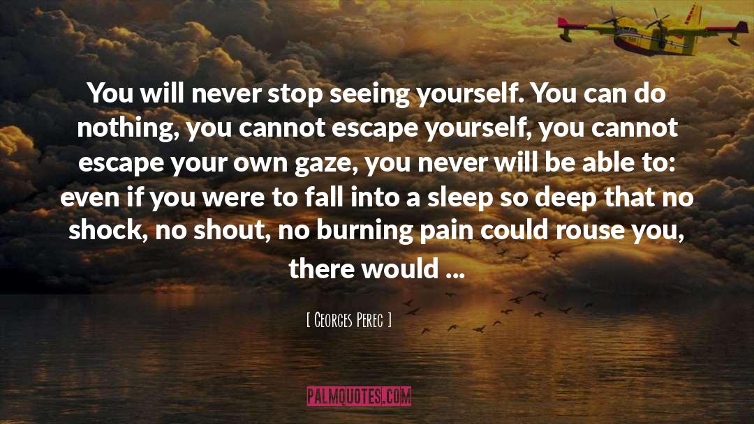 Never Sleep quotes by Georges Perec