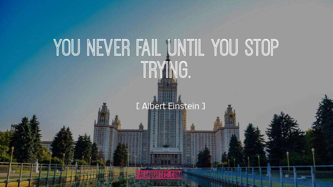 Never Stop Learning quotes by Albert Einstein