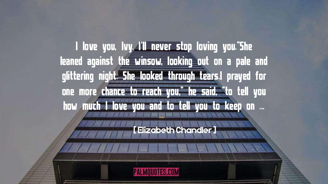 Never Stop Loving quotes by Elizabeth Chandler