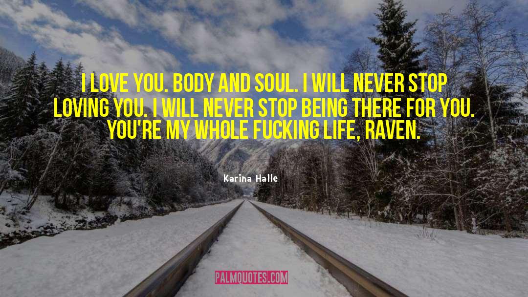 Never Stop Loving You quotes by Karina Halle