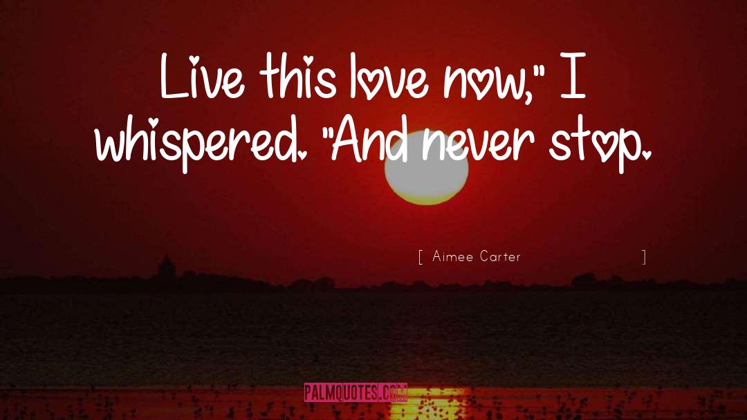 Never Stop Safetysuit quotes by Aimee Carter
