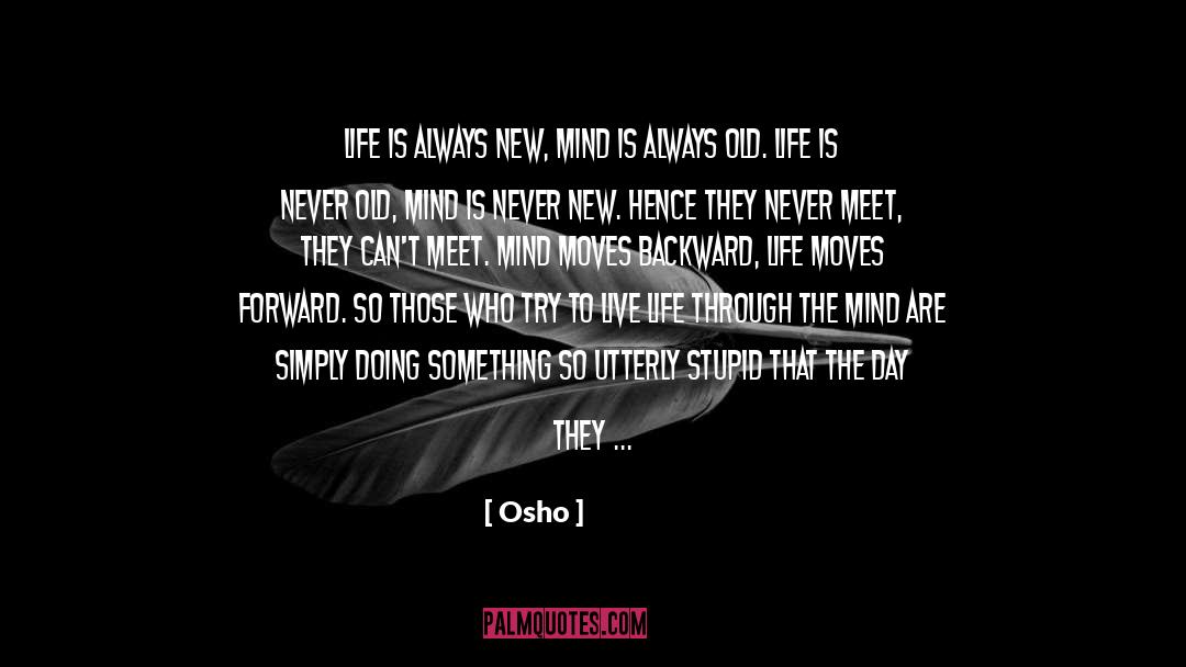 Never Stopping quotes by Osho