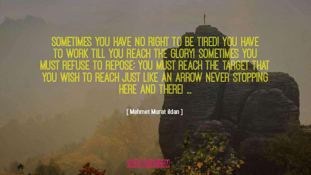 Never Stopping quotes by Mehmet Murat Ildan