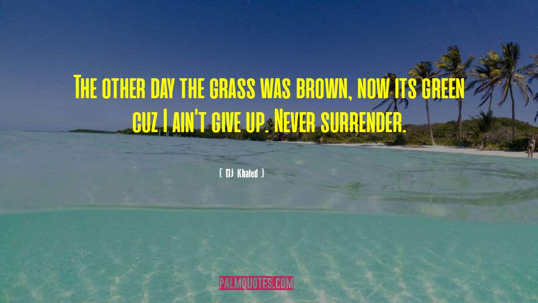 Never Surrender quotes by DJ Khaled