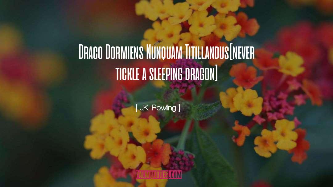 Never Tickle A Sleeping Dragon quotes by J.K. Rowling