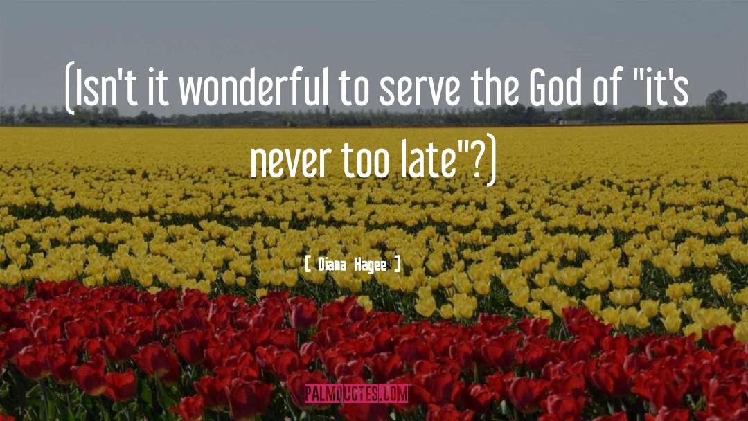 Never Too Late quotes by Diana Hagee
