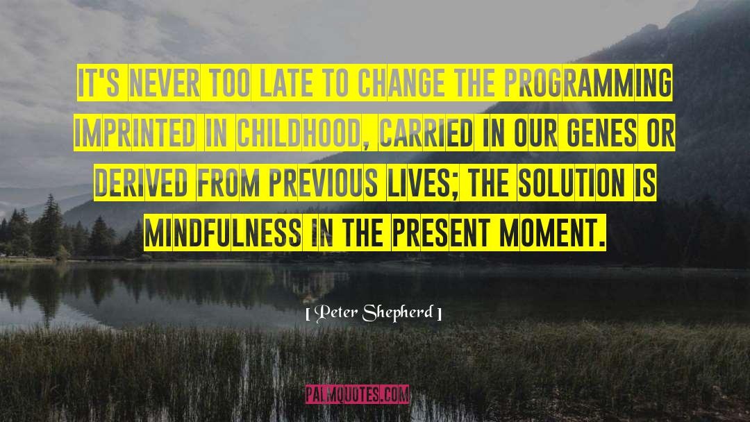 Never Too Late quotes by Peter Shepherd