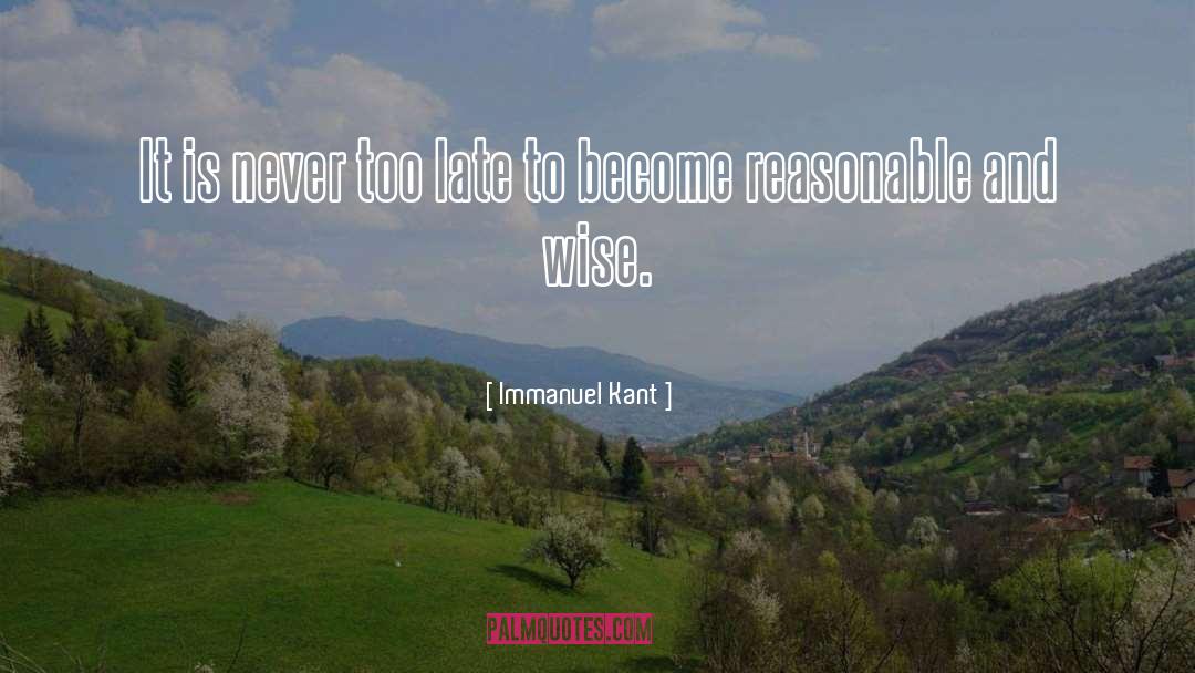 Never Too Late quotes by Immanuel Kant