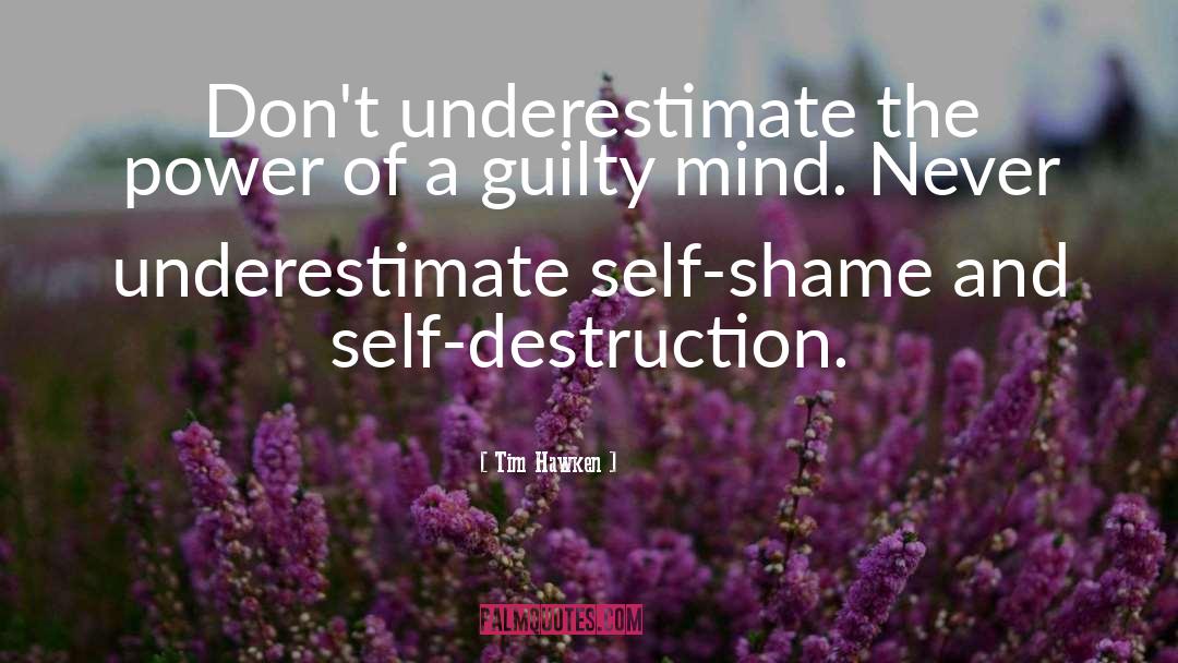 Never Underestimate quotes by Tim Hawken