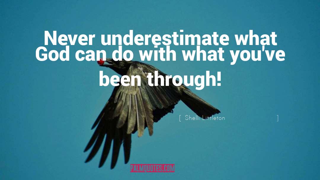 Never Underestimate quotes by Shelli Littleton
