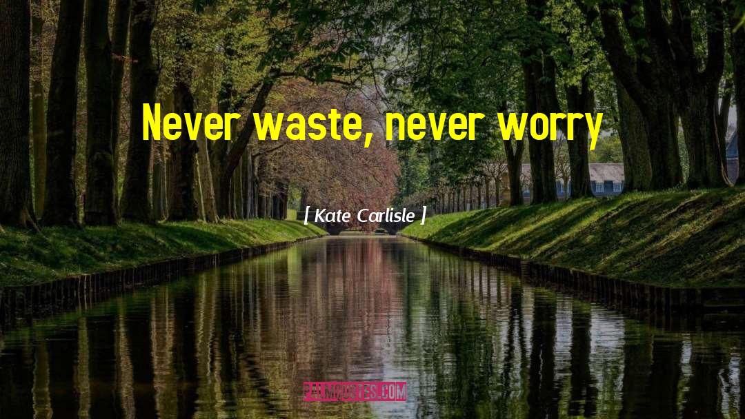 Never Worry quotes by Kate Carlisle