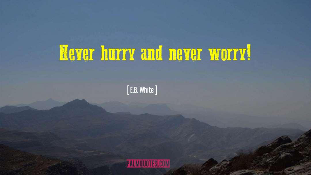 Never Worry quotes by E.B. White