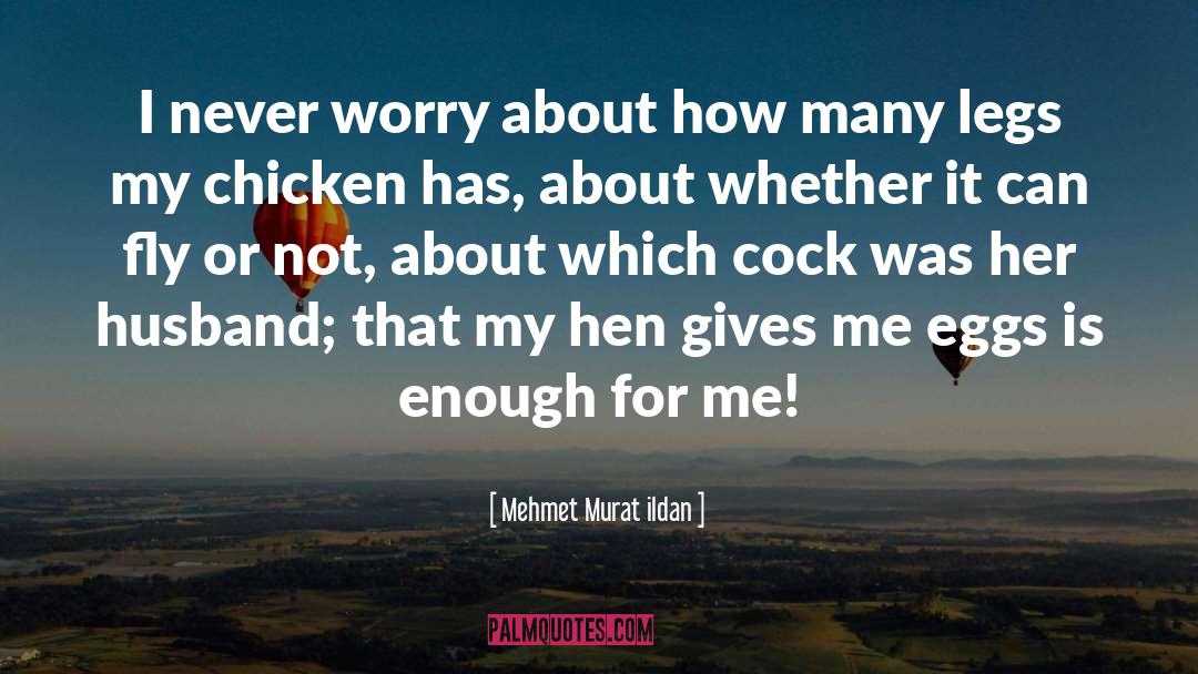 Never Worry quotes by Mehmet Murat Ildan