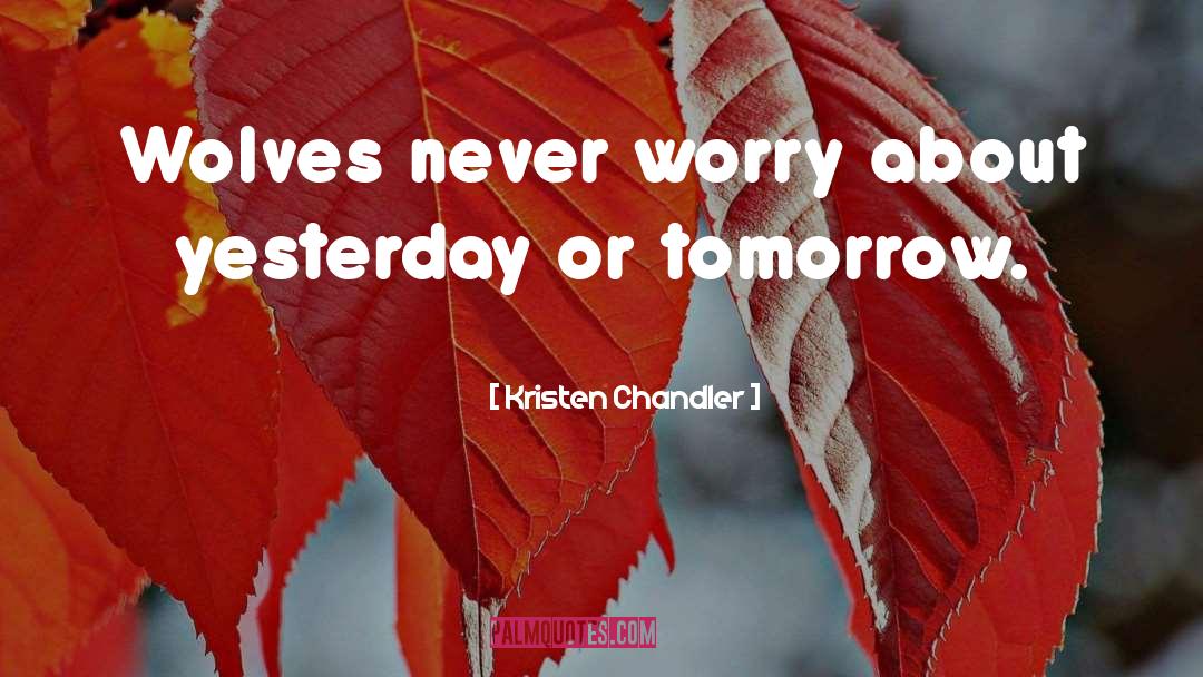 Never Worry quotes by Kristen Chandler