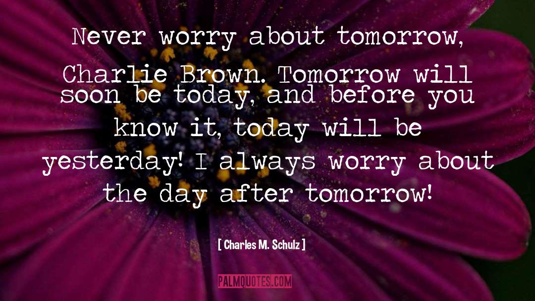 Never Worry quotes by Charles M. Schulz