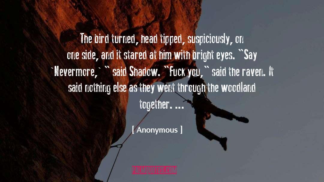 Nevermore quotes by Anonymous