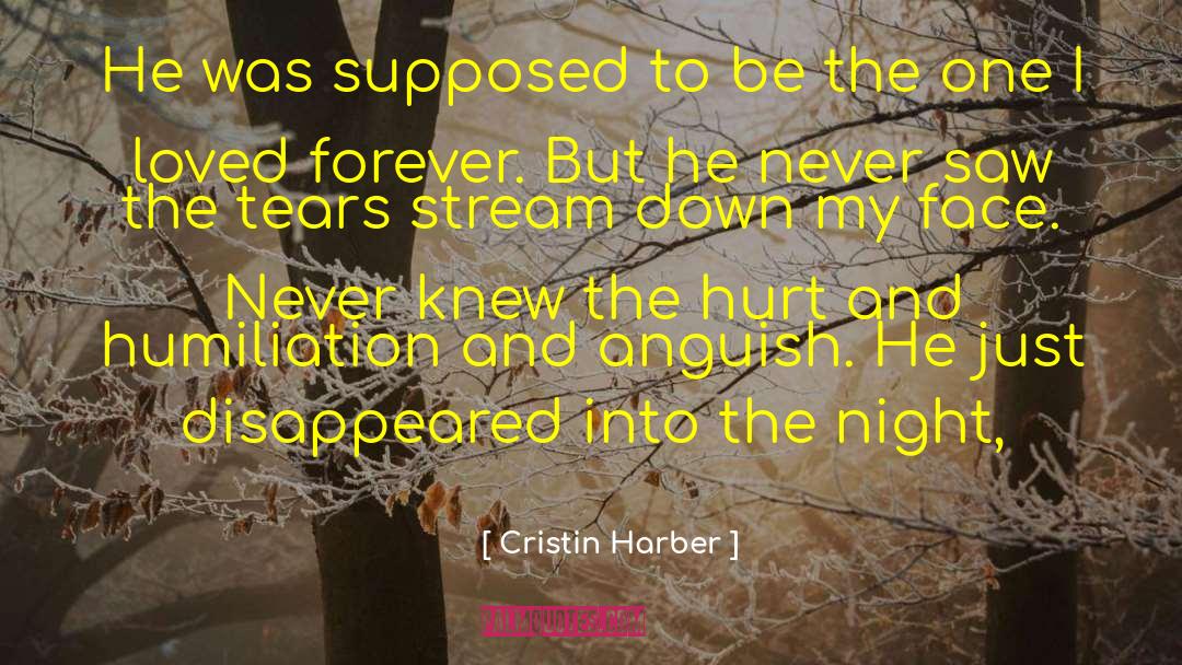 New Adult Fiction quotes by Cristin Harber