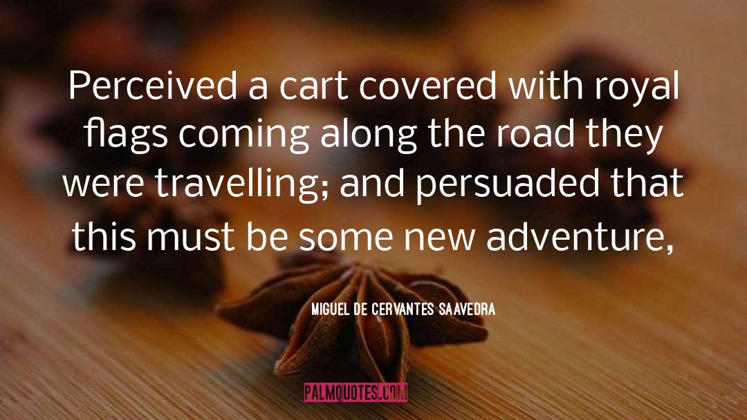 New Adventure quotes by Miguel De Cervantes Saavedra