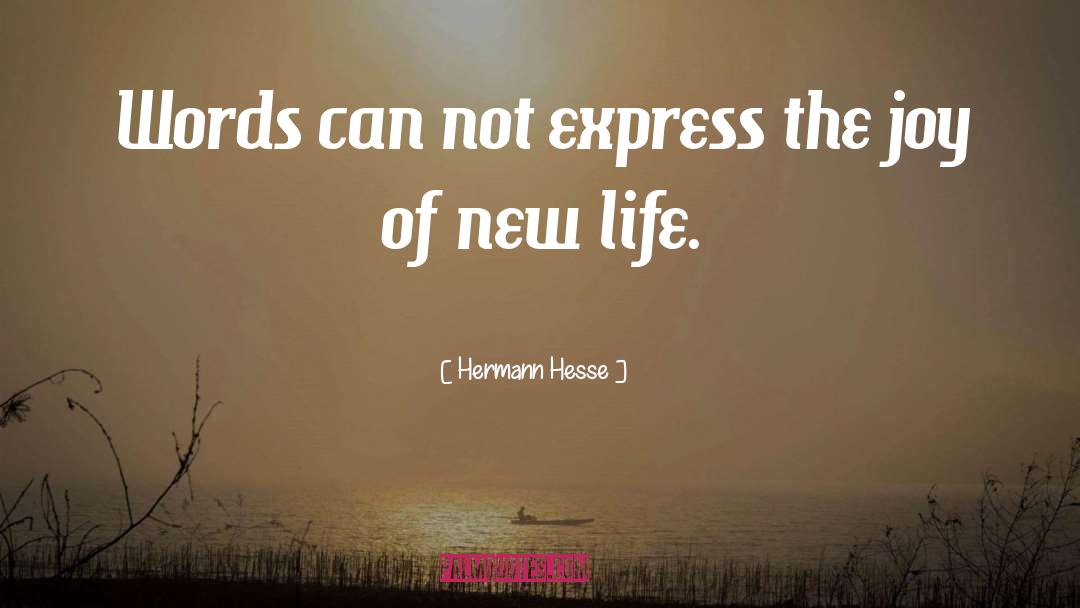 New Baby quotes by Hermann Hesse