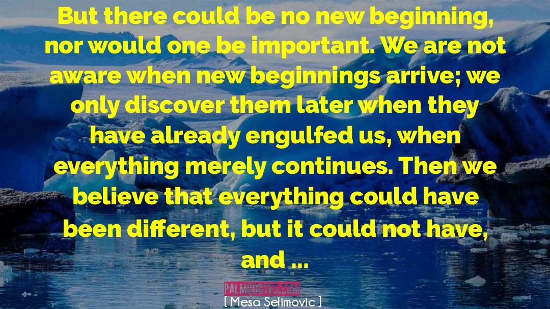 New Beginning Life quotes by Mesa Selimovic