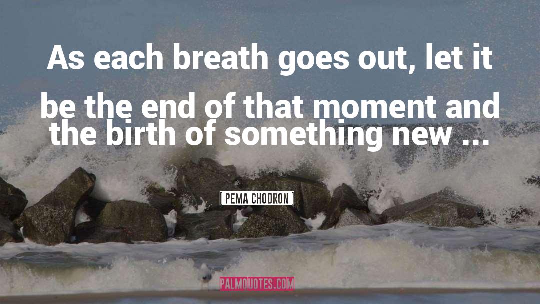 New Birth quotes by Pema Chodron