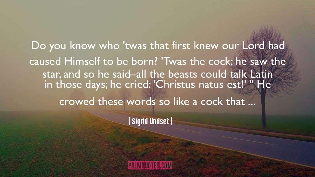 New Born quotes by Sigrid Undset