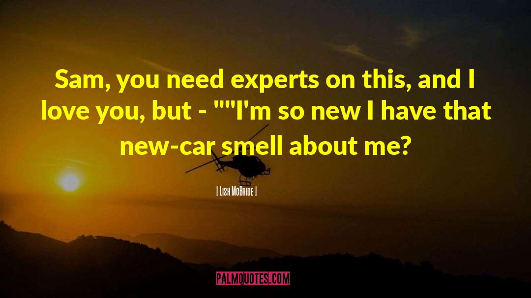 New Car quotes by Lish McBride