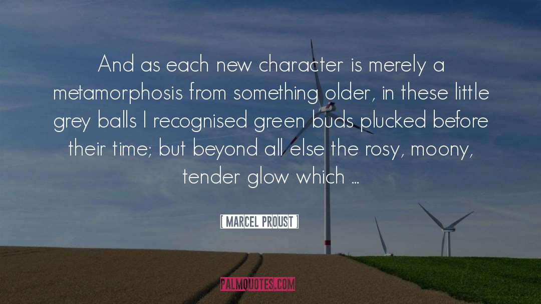 New Character quotes by Marcel Proust