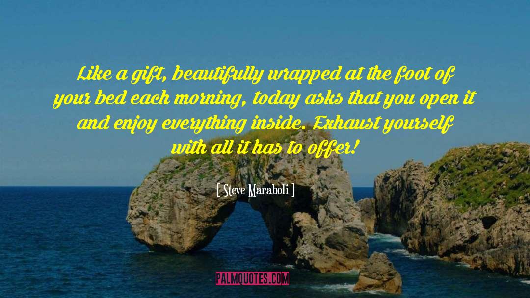 New Day quotes by Steve Maraboli