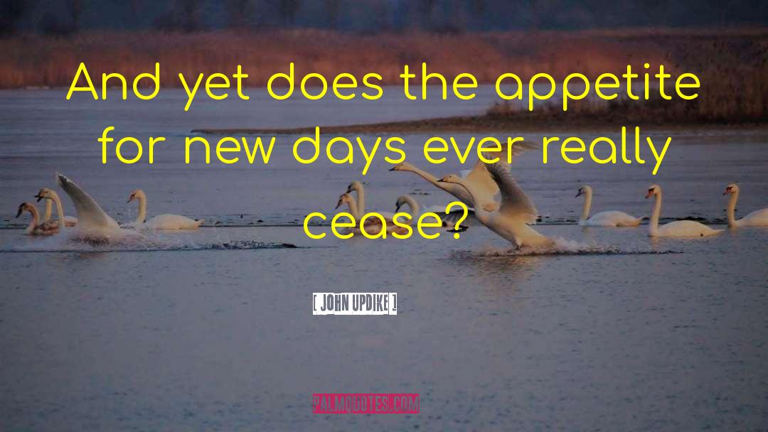 New Days quotes by John Updike
