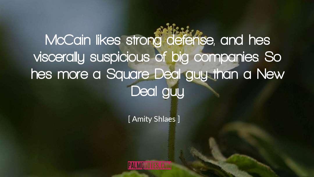 New Deal quotes by Amity Shlaes