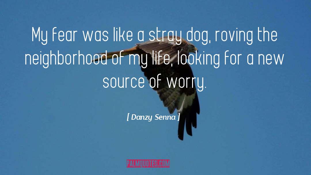 New Discovery quotes by Danzy Senna