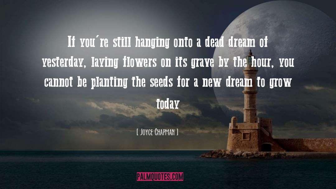 New Dream quotes by Joyce Chapman