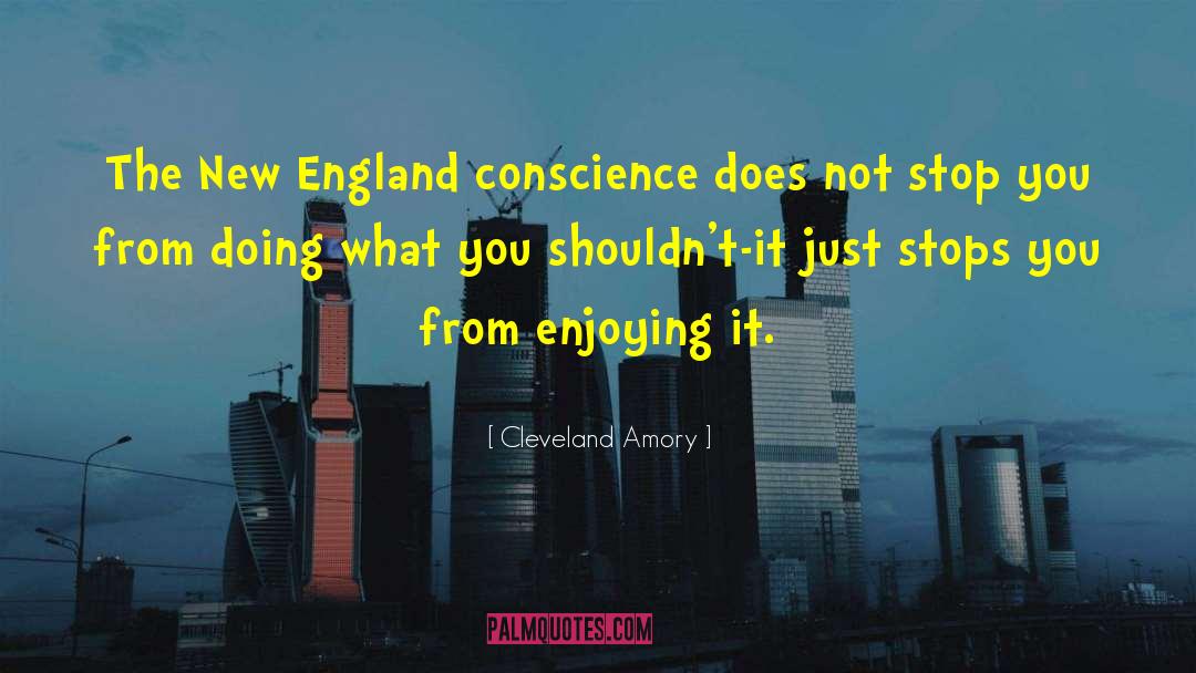 New England quotes by Cleveland Amory