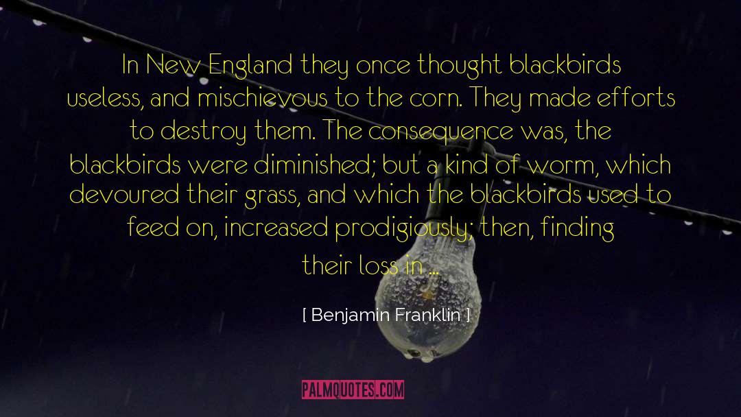 New England Wisdom quotes by Benjamin Franklin