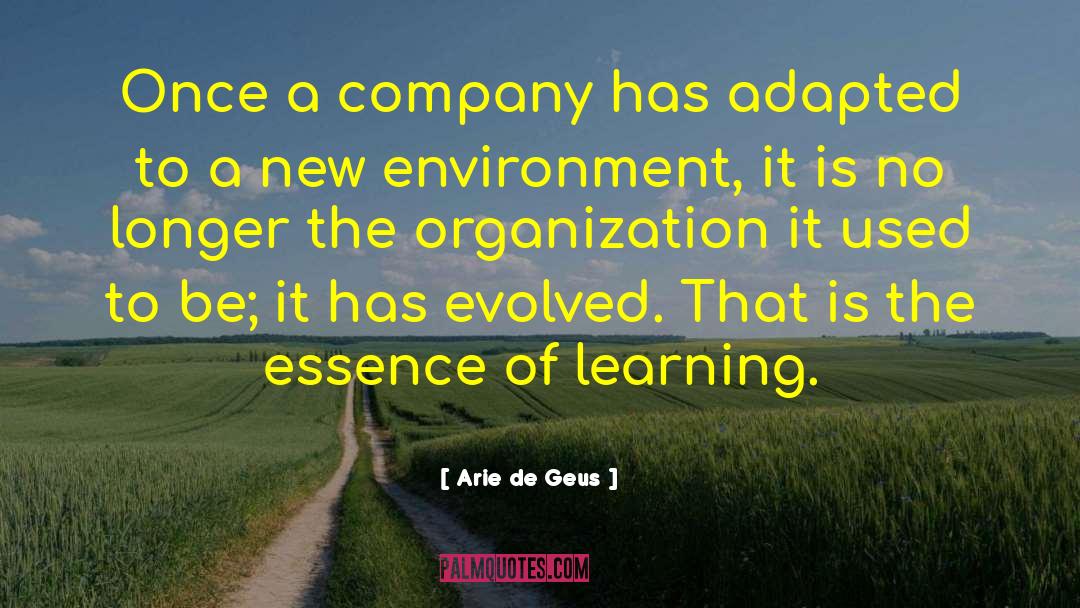 New Environment quotes by Arie De Geus