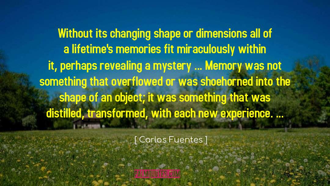 New Experience quotes by Carlos Fuentes