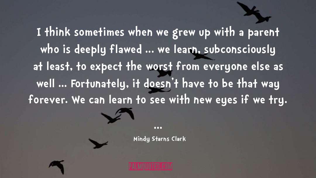 New Eyes quotes by Mindy Starns Clark